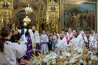 «Семейная гостиная» в Подольске