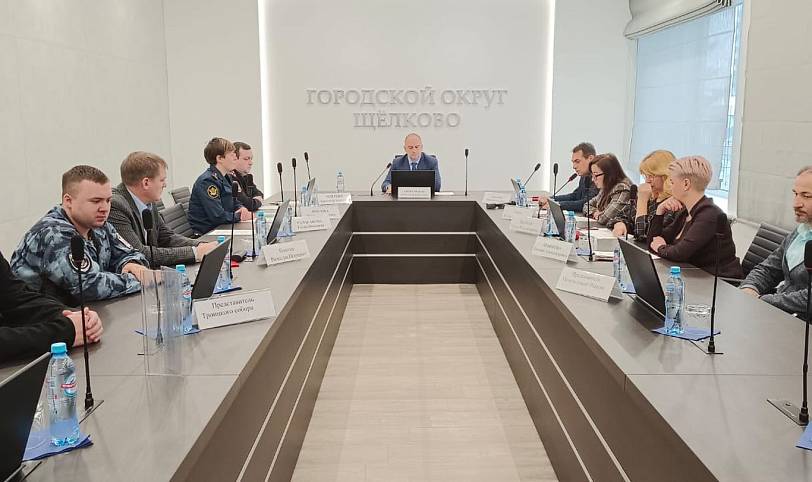 Заседание Комиссии по профилактике преступлений и иных правонарушений в Щёлково