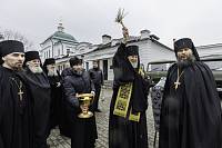 Великопостное посещение Николо-Берлюковской пустыни 