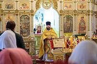 День памяти великомученика Никиты Готфского в Орехово-Зуевском благочинии